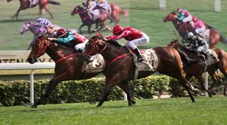 Beat The Clock shined in the Centenary Sprint Cup.